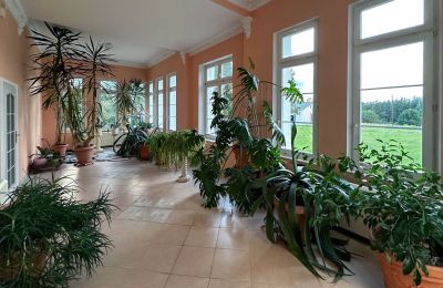 Zámek na prodej Olsztyn, Varmijsko-mazurské vojvodství, Foto 9/14