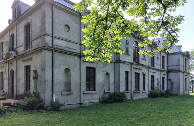 Zámek na prodej Więsławice, Kujavsko-pomořanské vojvodství, Pohled zezadu