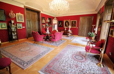 Zámek na prodej okres Jihlava, Salón
