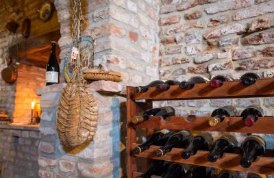Historická vila na prodej Zibello, Emilia-Romagna, Vinný sklep