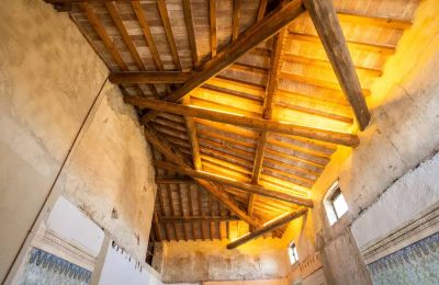 Historická vila na prodej Zibello, Emilia-Romagna, Foto 12/31