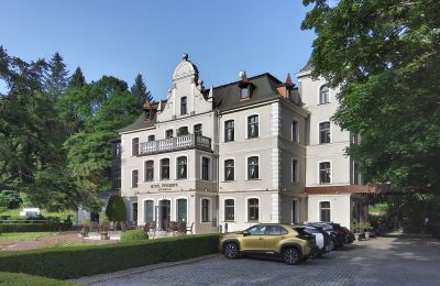 Historická vila na prodej Duszniki-Zdrój, Wojska Polskiego 10, Dolní Slezsko, Boční pohled