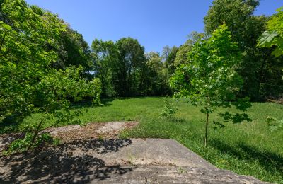 Zámeček na prodej Lubiatów, Lodžské vojvodství, Park