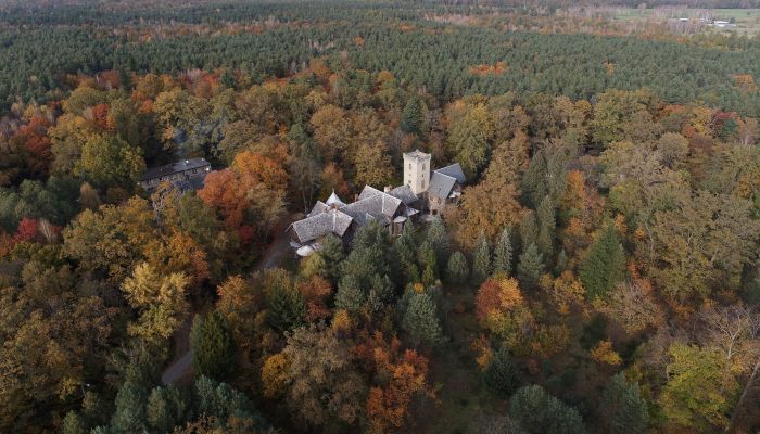 Zámek na prodej Sośnie, Velkopolské,  Polsko