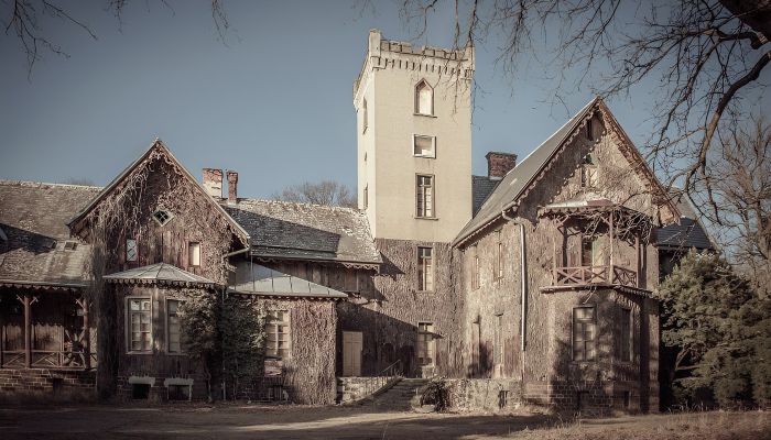  Sośnie 1