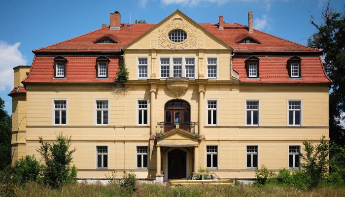 Zámeček na prodej Salzlandkreis, Bernburg, Preußlitz,  Německo