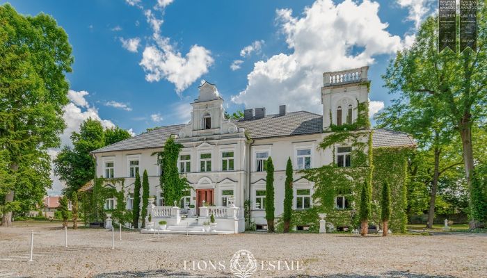 Zámeček na prodej Pstrokonie, Lodžské vojvodství,  Polsko