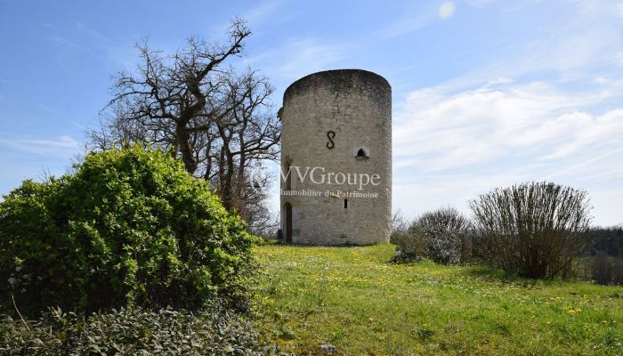 Usedlost se zámečkem u Monflanquinu, 8,9 ha