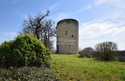 Zámek na prodej Monflanquin, Nouvelle-Aquitaine, Věž