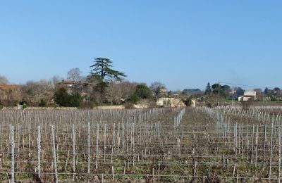 Zámek na prodej Blaye, Nouvelle-Aquitaine, Foto 11/14