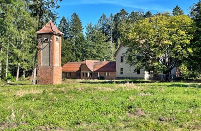 Venkovský dům na prodej Zegrze Pomorskie, Západopomořanské vojvodství, Foto 6/7