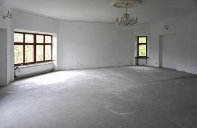 Hrad na prodej Zagórzany, Malopolské vojvodství, Pohled na interiér 1
