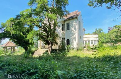 Historická vila na prodej 99510 Apolda, Lessingstraße 62, Thüringen, Pozemek