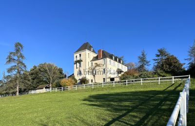Zámeček na prodej Pau, Nouvelle-Aquitaine, Foto 2/23