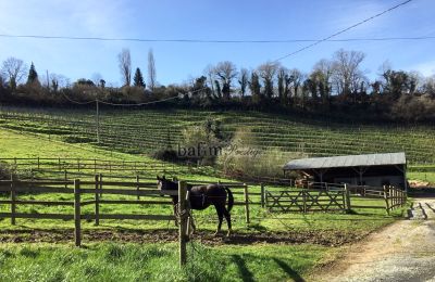Zámeček na prodej Pau, Nouvelle-Aquitaine, Pozemek