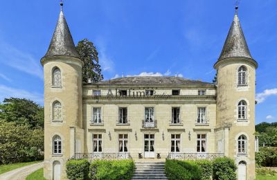 Zámek na prodej Centrum-Val de Loire, Pohled zepředu