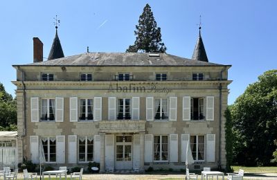 Zámek na prodej Centrum-Val de Loire, Pohled zezadu