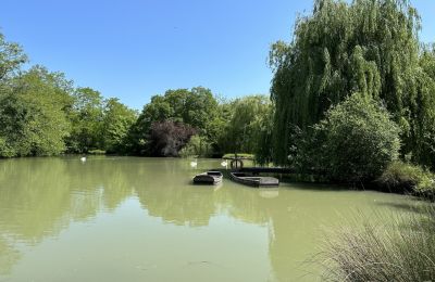 Zámek na prodej Centrum-Val de Loire, Jezero/rybník