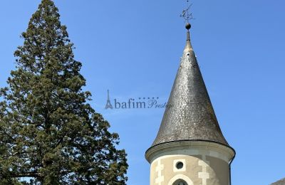 Zámek na prodej Centrum-Val de Loire, Podrobnosti