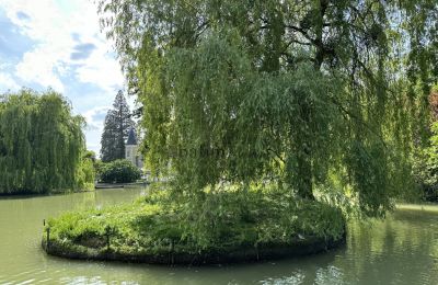 Zámek na prodej Centrum-Val de Loire, Park