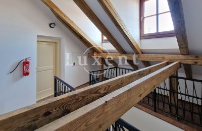 Městský dům na prodej Litoměřice, Mírové náměstí 12/4, Ústecký kraj, Foto 11/16