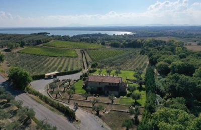 Venkovský dům na prodej 06069 Tuoro sul Trasimeno, Umbria, Foto 2/23
