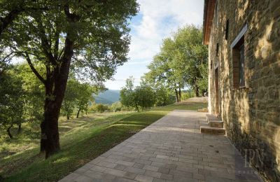 Venkovský dům na prodej 06029 Valfabbrica, Umbria, Foto 18/49