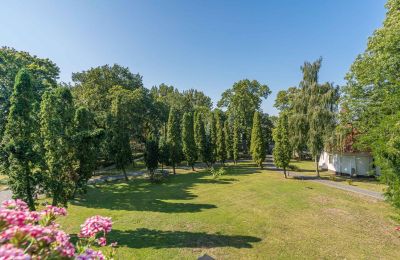 Zámek na prodej Mgowo, Pałac w Mgowie, Kujavsko-pomořanské vojvodství, Park