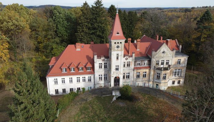 Zámek na prodej Grabiszyce Średnie, Dolní Slezsko,  Polsko