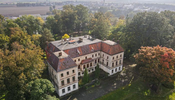 Zámek na prodej Wojnowice, Slezské vojvodství,  Polsko