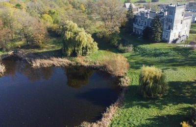 Zámek na prodej Górki Dąbskie, Pałac w Górkach Dąbskich, Kujavsko-pomořanské vojvodství, Pozemek