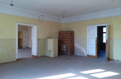 Zámek na prodej Górki Dąbskie, Pałac w Górkach Dąbskich, Kujavsko-pomořanské vojvodství, Foto 11/22