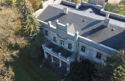 Zámek na prodej Górki Dąbskie, Pałac w Górkach Dąbskich, Kujavsko-pomořanské vojvodství, Foto 19/22