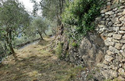 Venkovský dům na prodej Pontedassio, Liguria, Foto 11/25