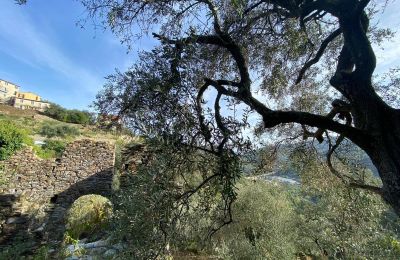 Venkovský dům na prodej Pontedassio, Liguria, Foto 16/25