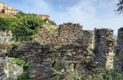 Venkovský dům na prodej Pontedassio, Liguria, Foto 5/25