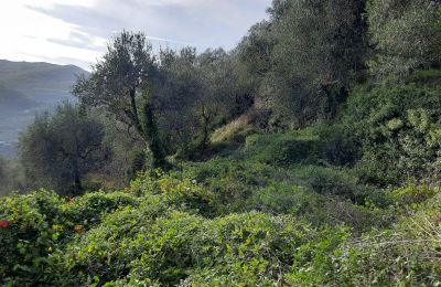 Venkovský dům na prodej Pontedassio, Liguria, Foto 17/25