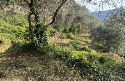 Venkovský dům na prodej Pontedassio, Liguria, Foto 18/25