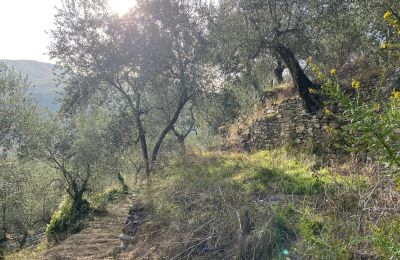 Venkovský dům na prodej Pontedassio, Liguria, Foto 19/25