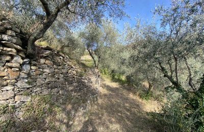 Venkovský dům na prodej Pontedassio, Liguria, Foto 20/25