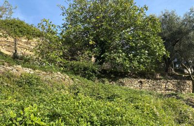 Venkovský dům na prodej Pontedassio, Liguria, Foto 21/25