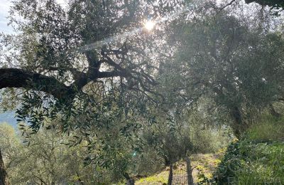 Venkovský dům na prodej Pontedassio, Liguria, Foto 22/25