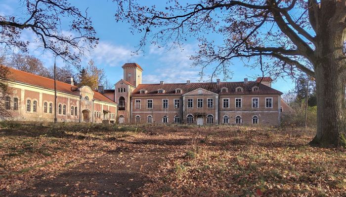 Zámek na prodej Dobrocin, Varmijsko-mazurské vojvodství,  Polsko