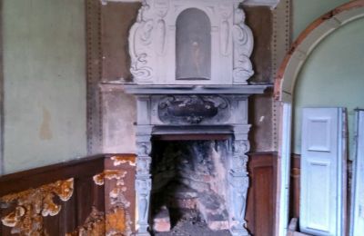 Zámek na prodej Dobrocin, Pałac w Dobrocinie, Varmijsko-mazurské vojvodství, Foto 11/16