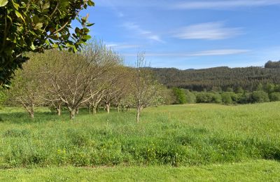 Venkovský dům na prodej Moeche, Sta Cruz de Moeche, Galicia, Pozemek