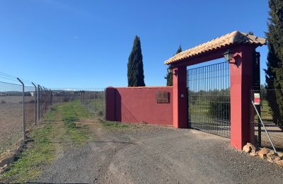 Venkovský dům na prodej Almagro, Almagro, Castilla-La Mancha, Entrada