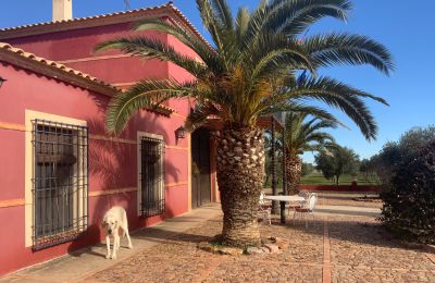 Venkovský dům na prodej Almagro, Almagro, Castilla-La Mancha, Fachada