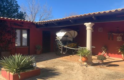 Venkovský dům na prodej Almagro, Almagro, Castilla-La Mancha, Patio y carruaje