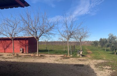 Venkovský dům na prodej Almagro, Almagro, Castilla-La Mancha, Propiedad con almendros