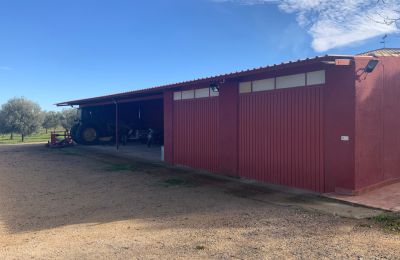 Venkovský dům na prodej Almagro, Almagro, Castilla-La Mancha, Garaje